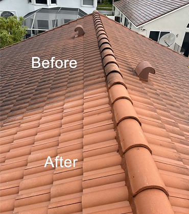 Mr. Clean Roof Cleaning (Before-After)